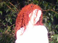 fruehlingserwachen13